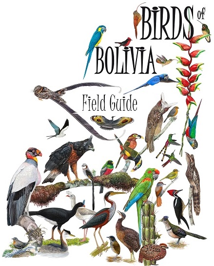 Parque Machia - Inta Wara Yassi - Bolivia