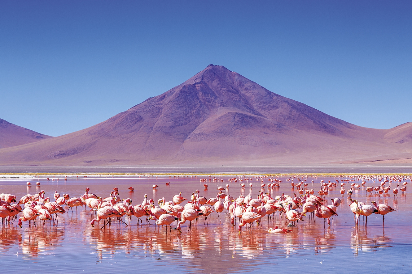 Laguna Colorada, Bolivia - Pictures of Laguna Colorada Bolivia - Fabulous Travel Guide