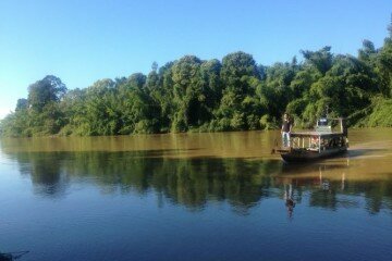 Cát Tiên National Park in Vietnam - Beautiful pictures - Photo - Fabulous Travel Guide
